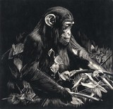 by Aimée Robinson