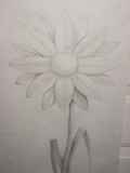 by D. Black