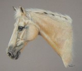 by Hannah Merson