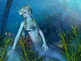 by Danniella Schvarcz