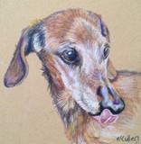 by Paul McCullen