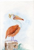by Doris Blessington