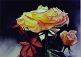 by Karen Higgins