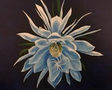 by Annette  Jimerson 