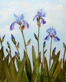by Alison Vernon