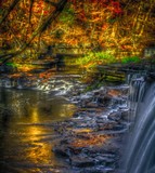 by Maurice FitzGerald