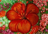 by Suelene Rebouças