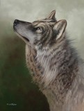 by Mark Whittaker