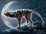 by Akela Taka