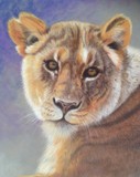 by Liz Mclelland