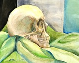 by Shawna Poliziani