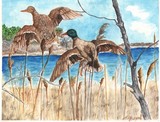 by Kathleen Kelly-Thompson