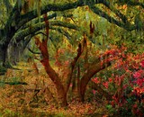 by Mary Clanahan