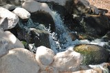 by Debra Kott