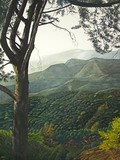 by Michelle Cohen