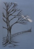 by Douwlene van der Nest
