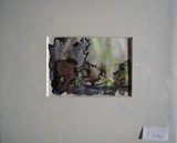 by Charlotta Sverrisdóttir