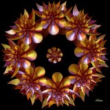 by Sara  Raber