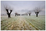 by Graziano Racchelli