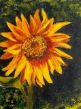 by Tami Booher