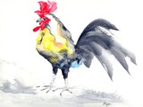 by Brazen Edwards