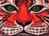 by marty calabrese