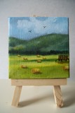 by cindy kelly
