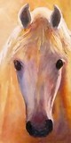 by Delores Herringshaw