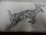 by refael degorker