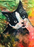 by Richard  OMalley 