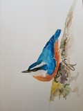 by Melanie  Smith