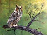 by Mary Claire Roe
