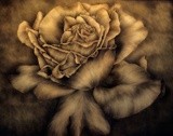 by Darlene Ward