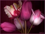 by Sher Richardson