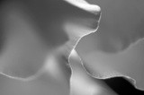 by Lisa Marie Maupassant 