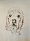 by Ariella Belau