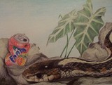 by Nienke van Zutphen