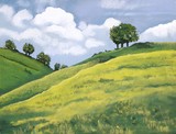 by Ria Hills
