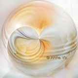 by Anne Vis