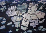 by nancy lissaman