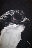 by Rio Charcoal