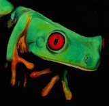 by Jan Viljoen