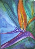 by paulette rygiel