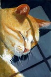 by Joyce Geleynse