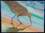 by Belinda Balaski