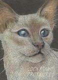 by Tammy Kuenzli