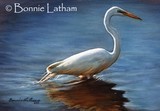 by Bonnie Latham