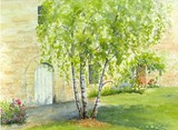by Maureen Darby