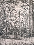 by José Ramalhão Fortunato