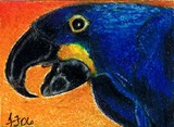 by Terri Walker